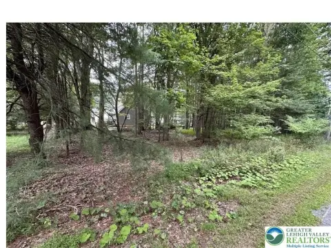 Land Near Pocono Summit Lake