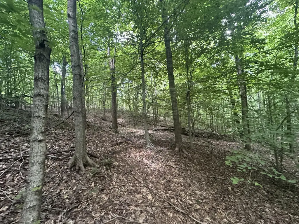 Picture 21