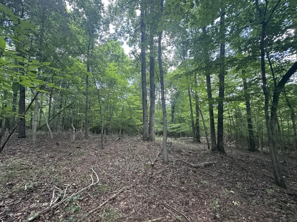 Picture 23