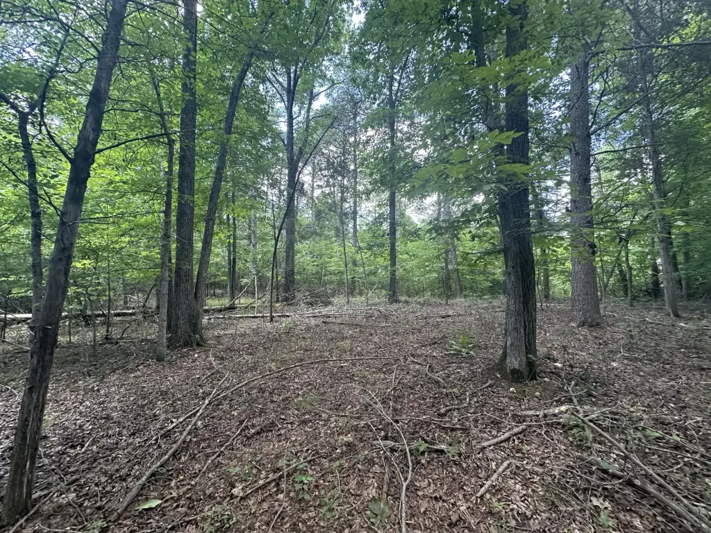 Picture 25
