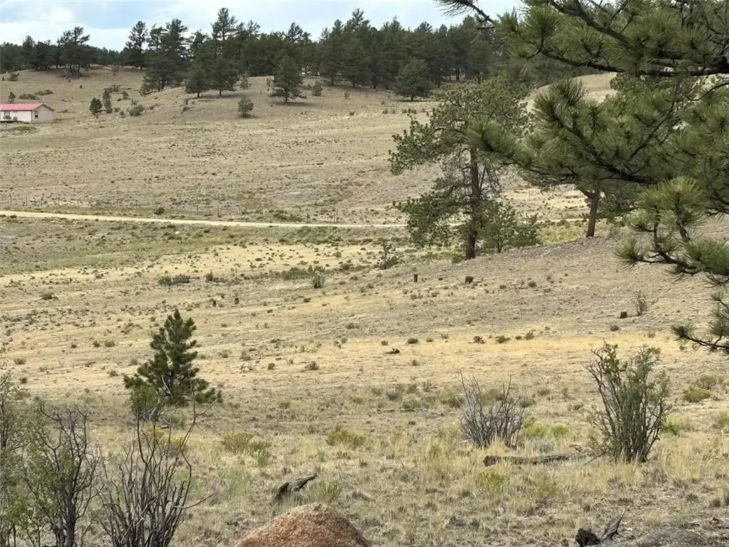 Picture 12