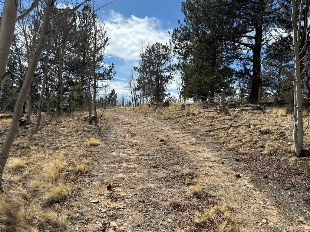 Picture 11