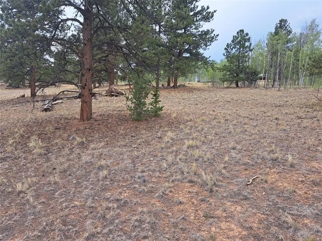 Picture 19