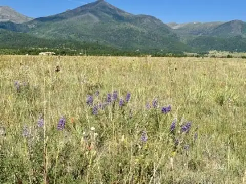 Expansive Land with Mountain Views
