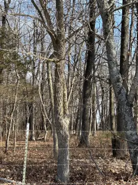 Springfield Acreage with Pond