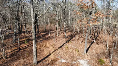 Secluded Acreage Joins National Forest