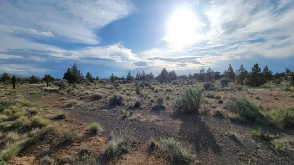 Picture 24