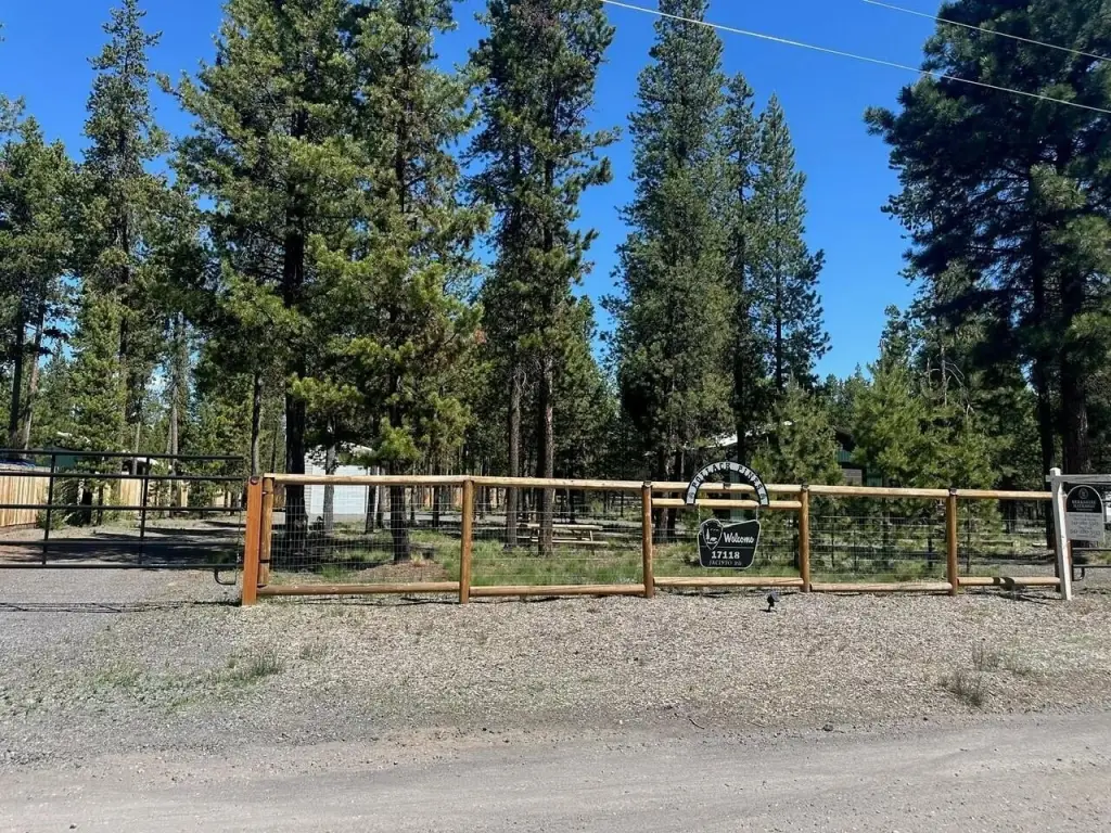 Picture 32