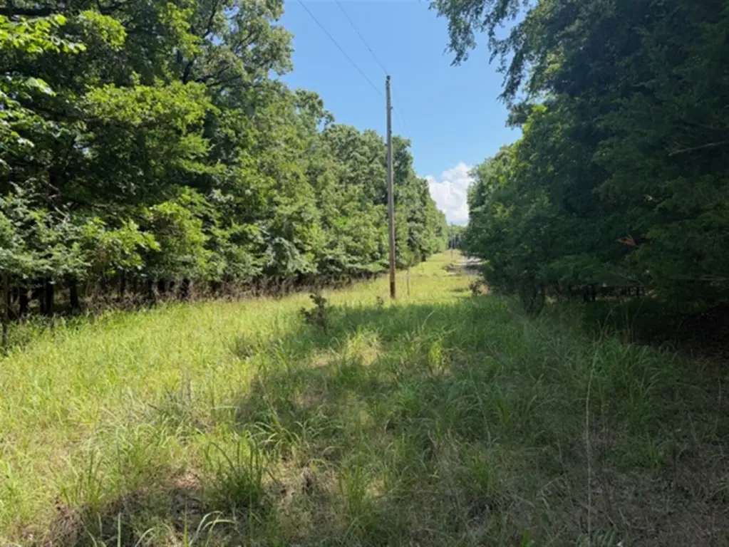 Picture 15