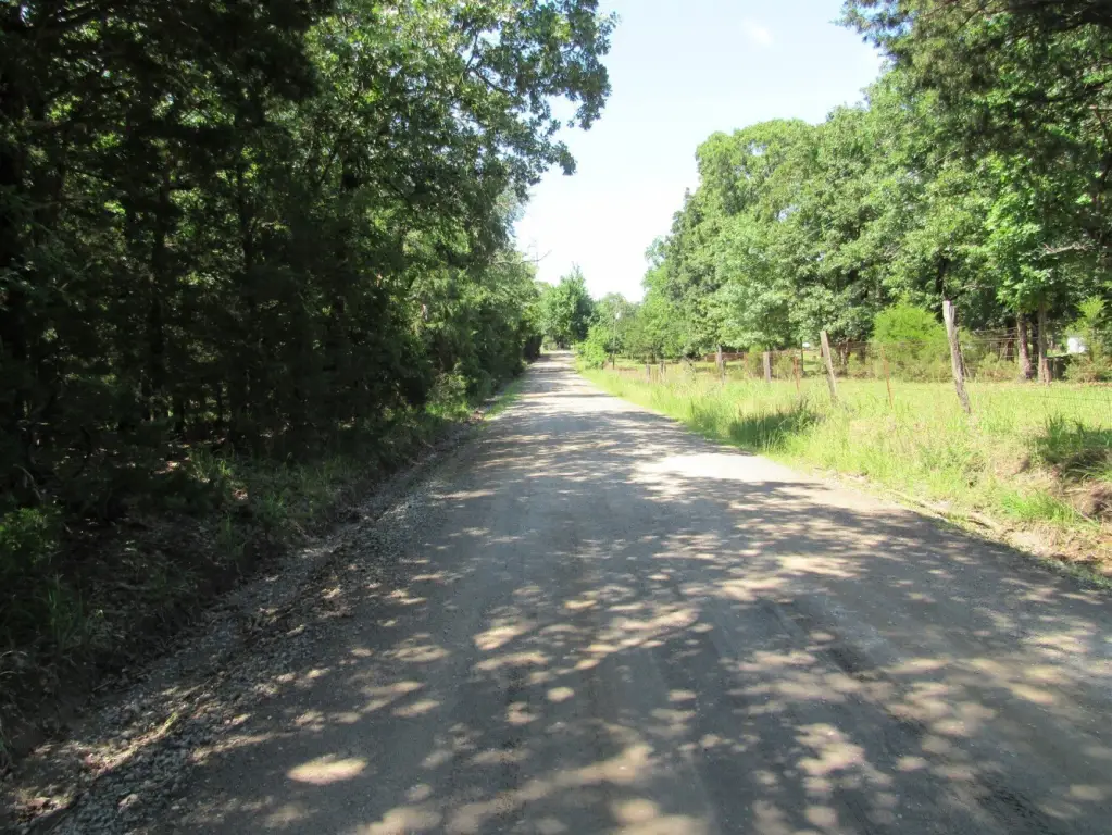 Picture 7