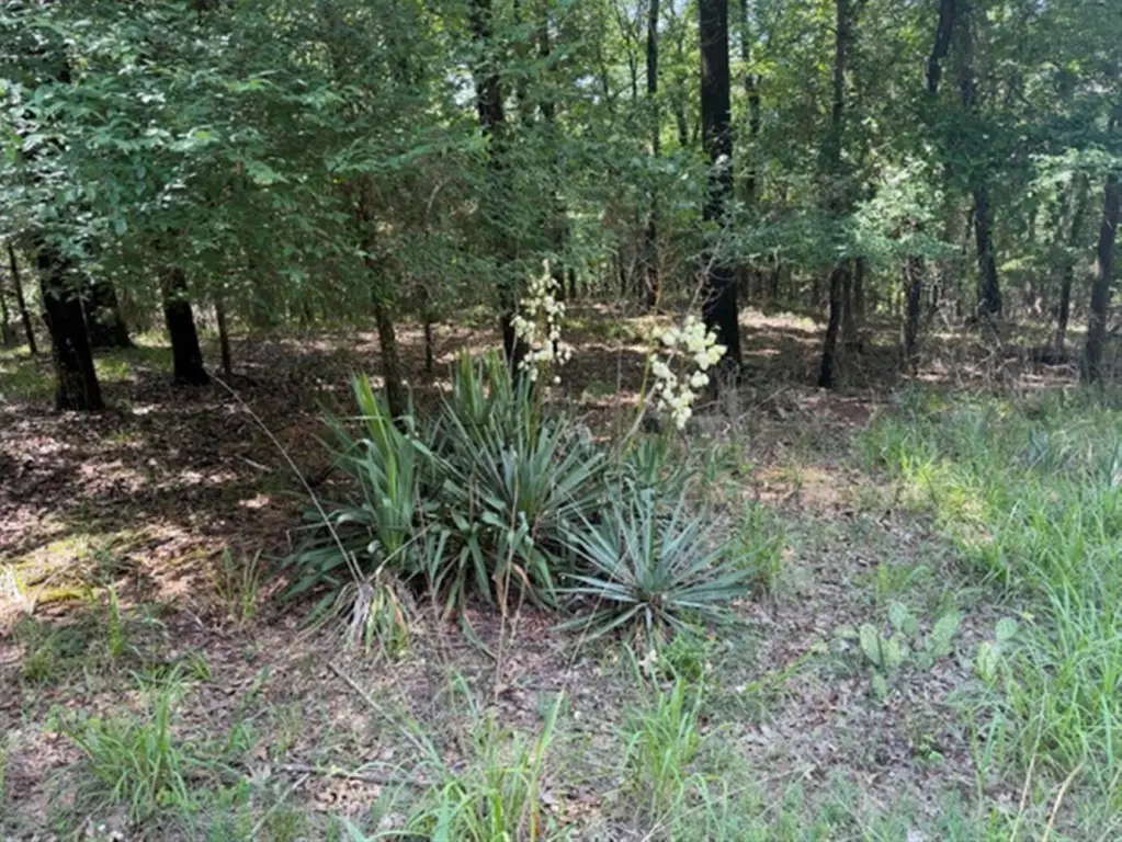 Picture 14