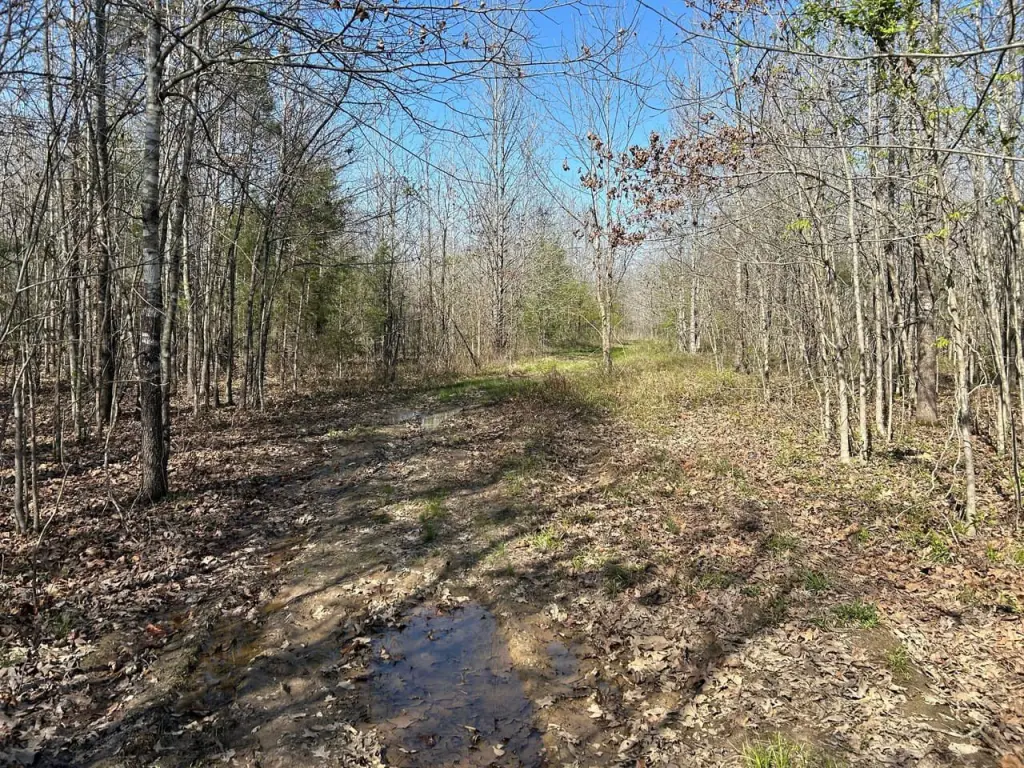 Picture 9
