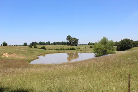 Land with Pond in Piggott