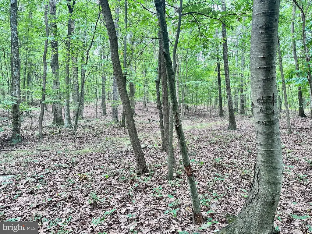 Picture 16