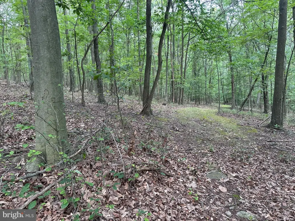 Picture 23