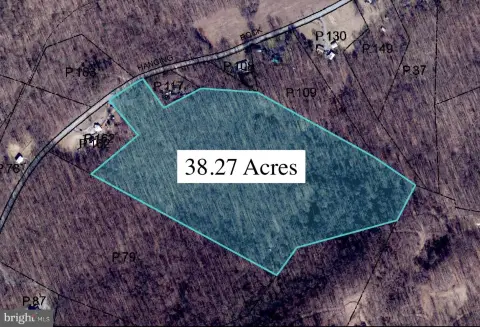 Mature Timber Hunting Land