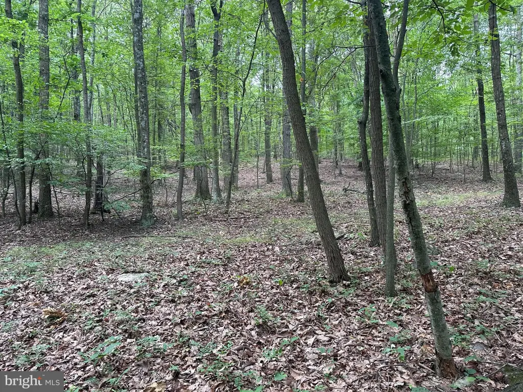 Picture 27