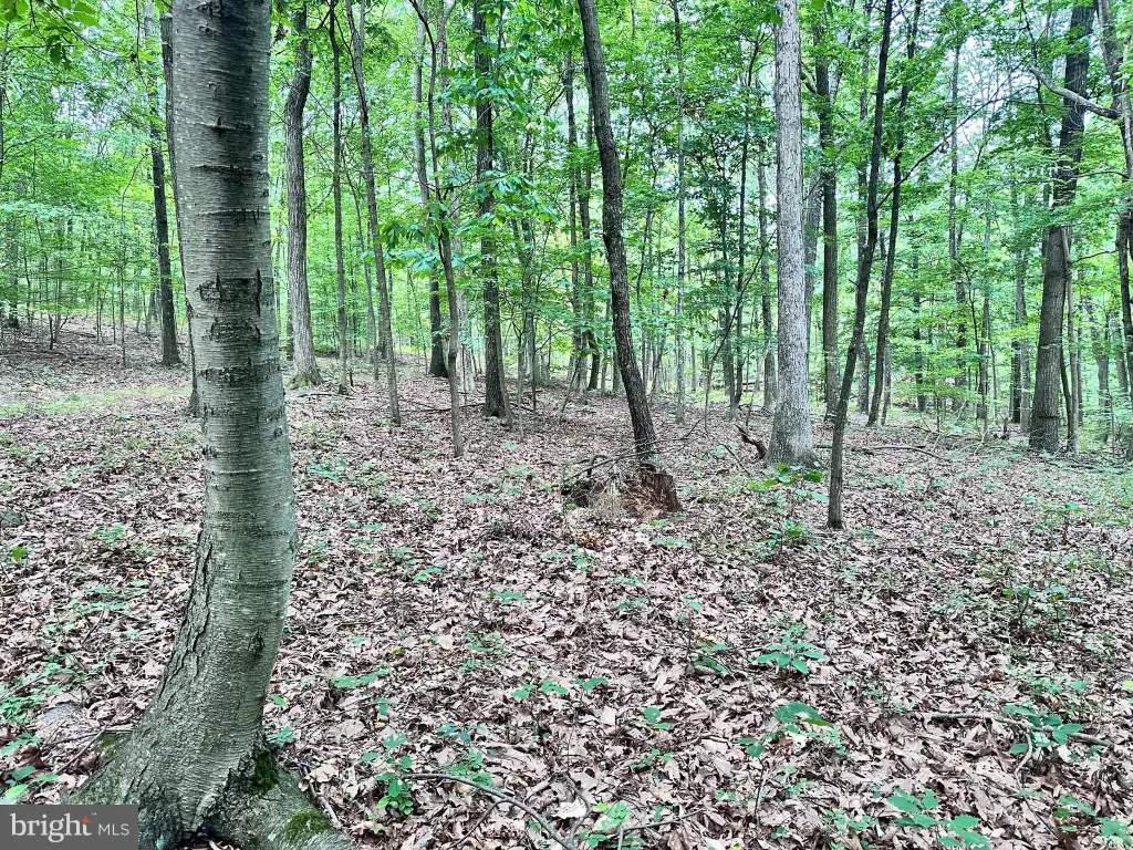 Picture 13