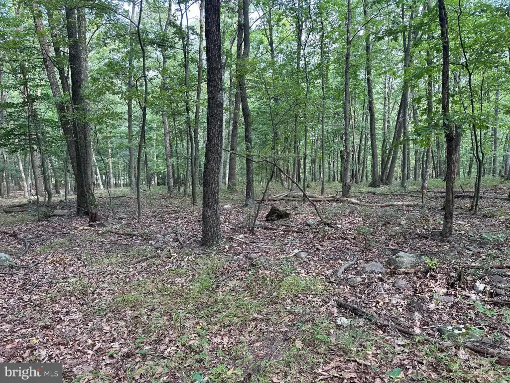 Picture 18