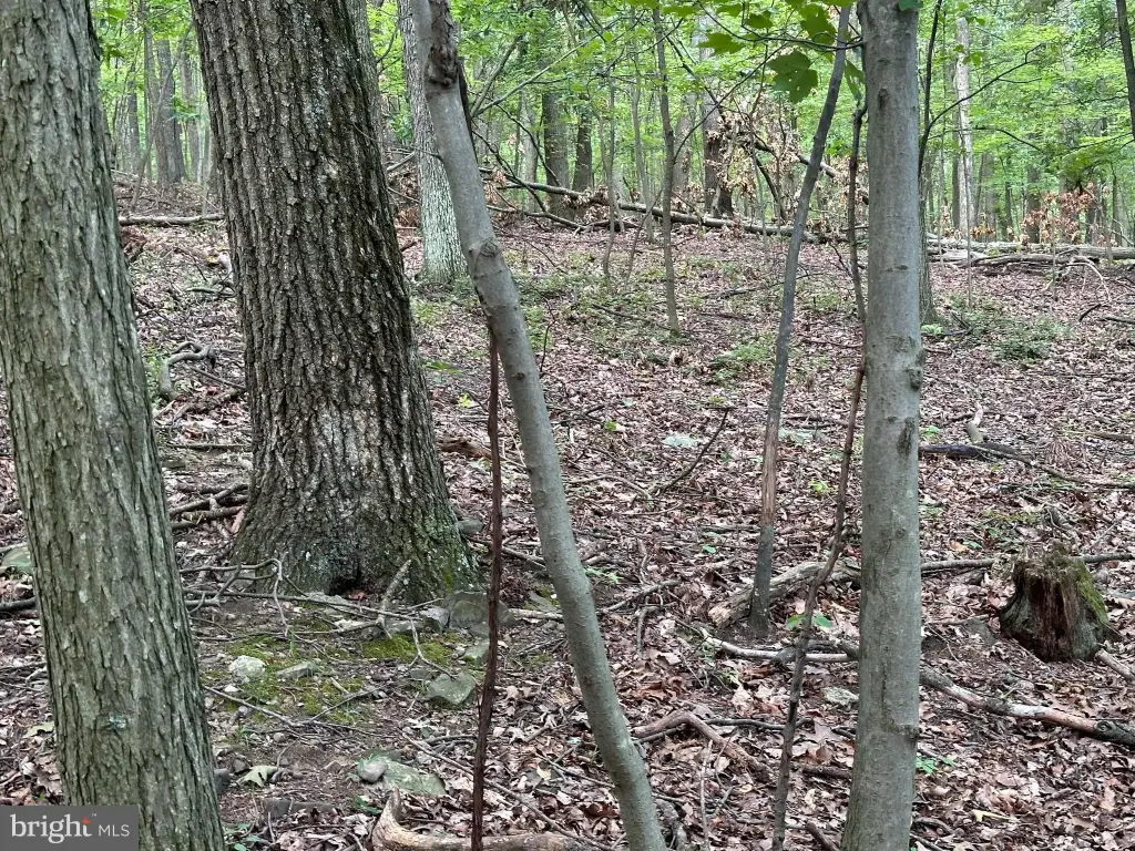 Picture 15