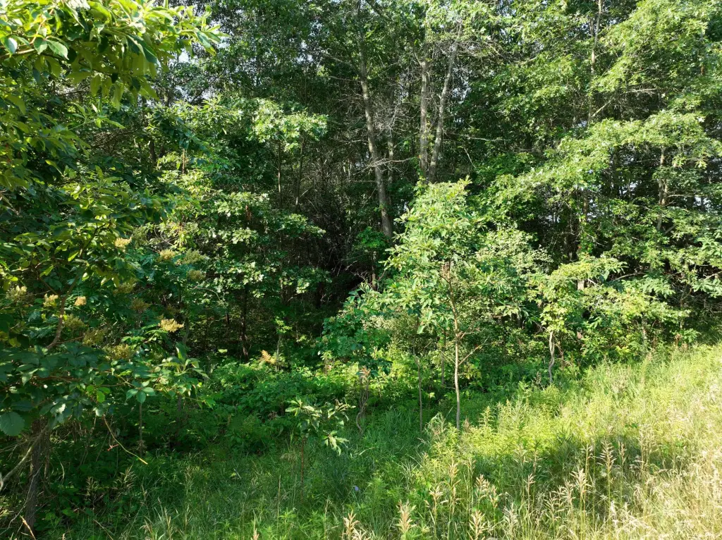Picture 13