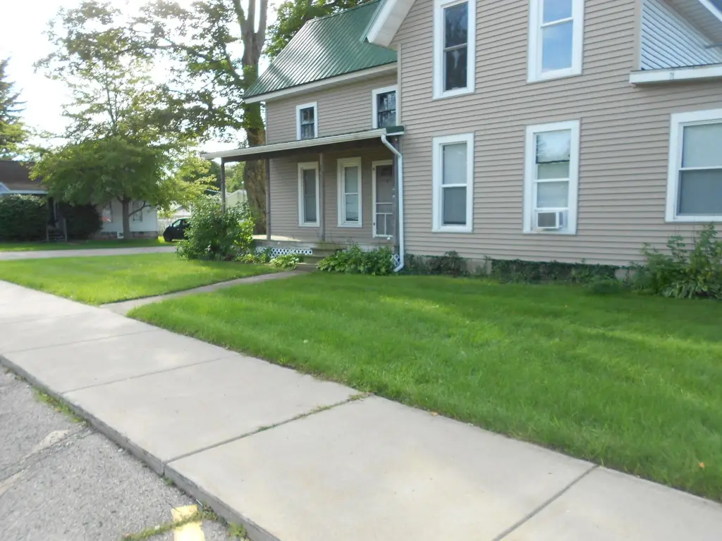 Picture 6