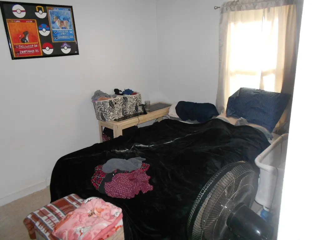 Picture 14
