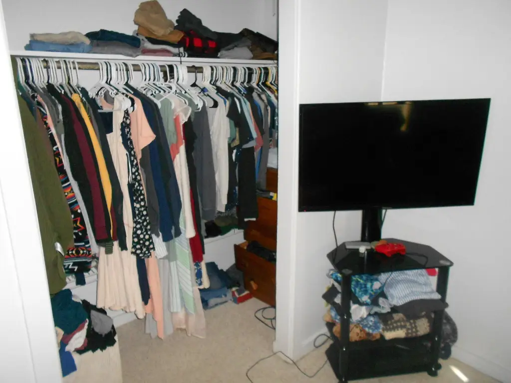 Picture 15