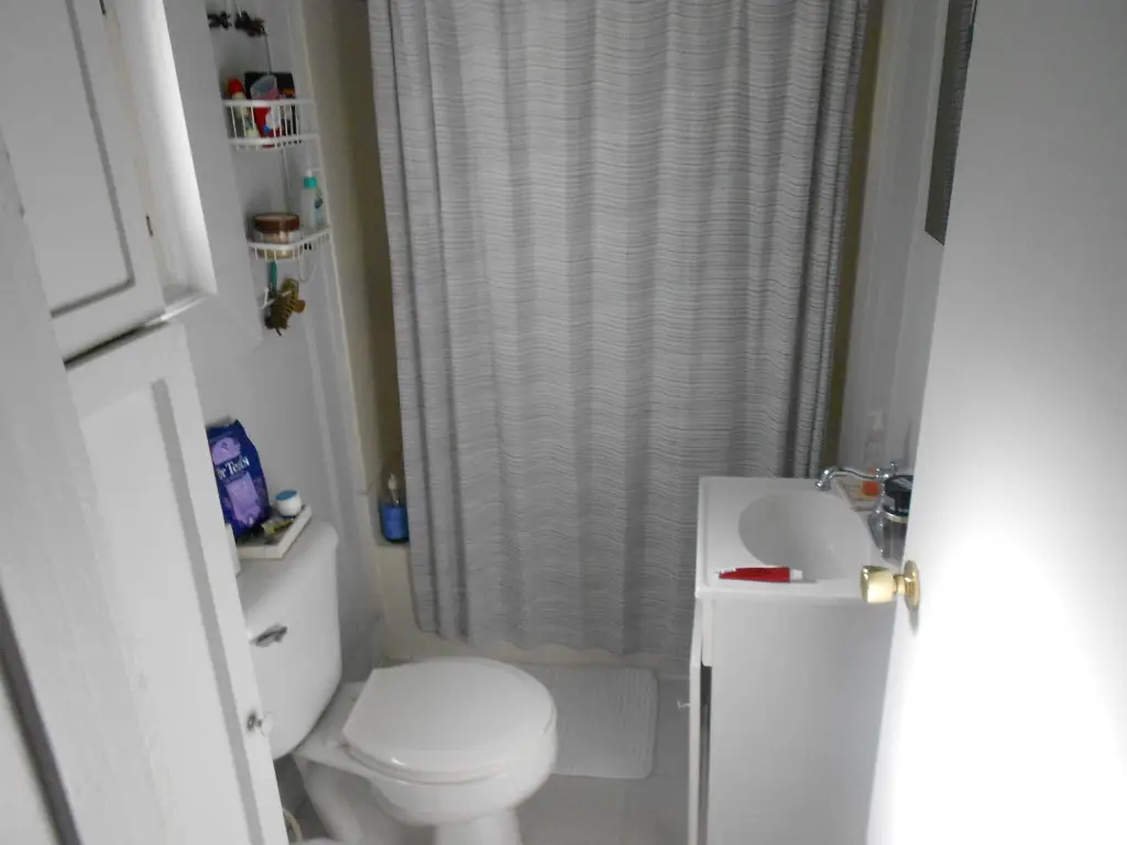 Picture 13