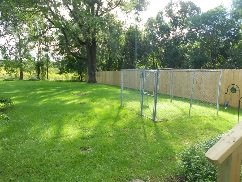 Picture 6