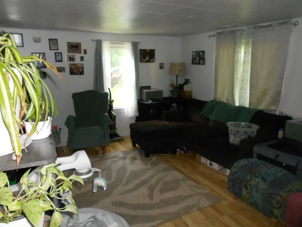 Picture 16