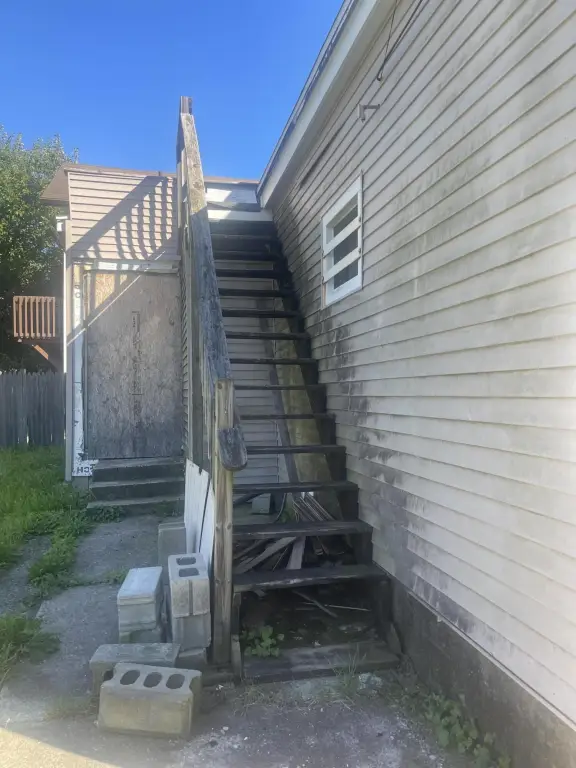 Picture 3