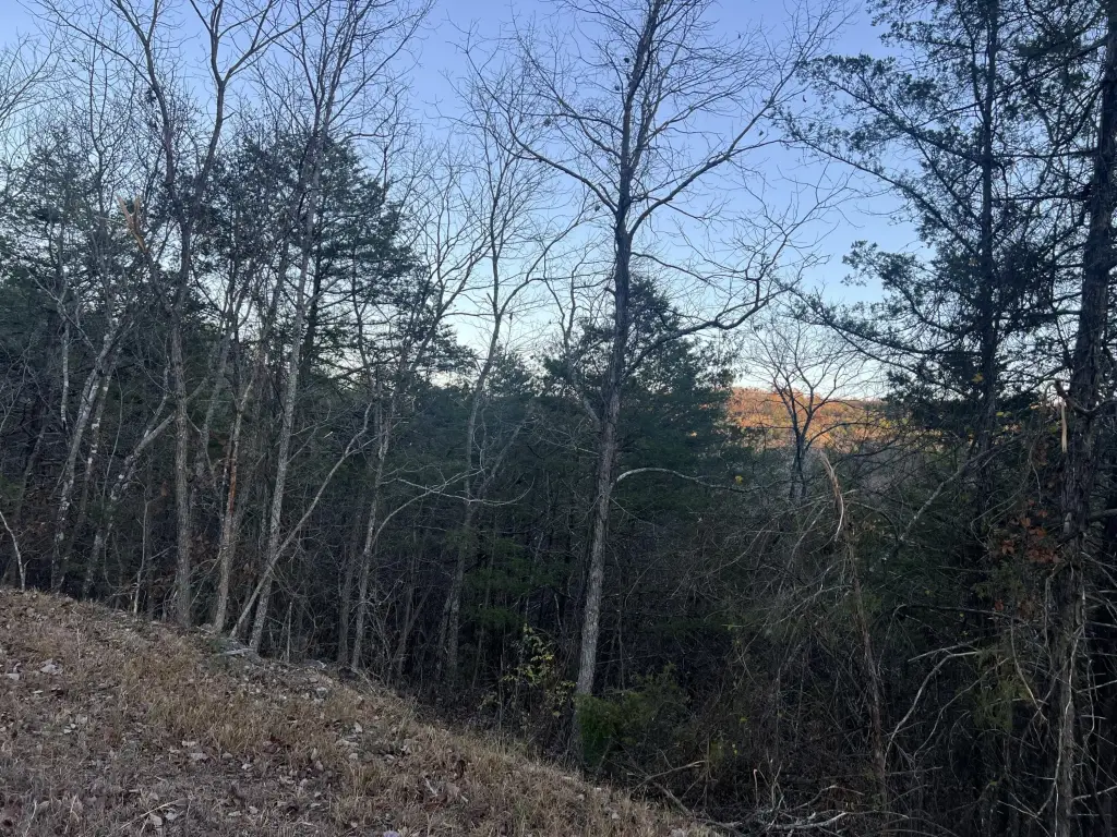 Picture 5