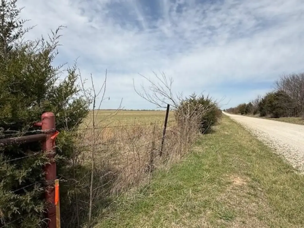 Picture 6