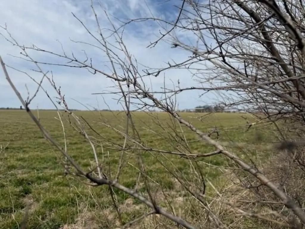 Picture 9