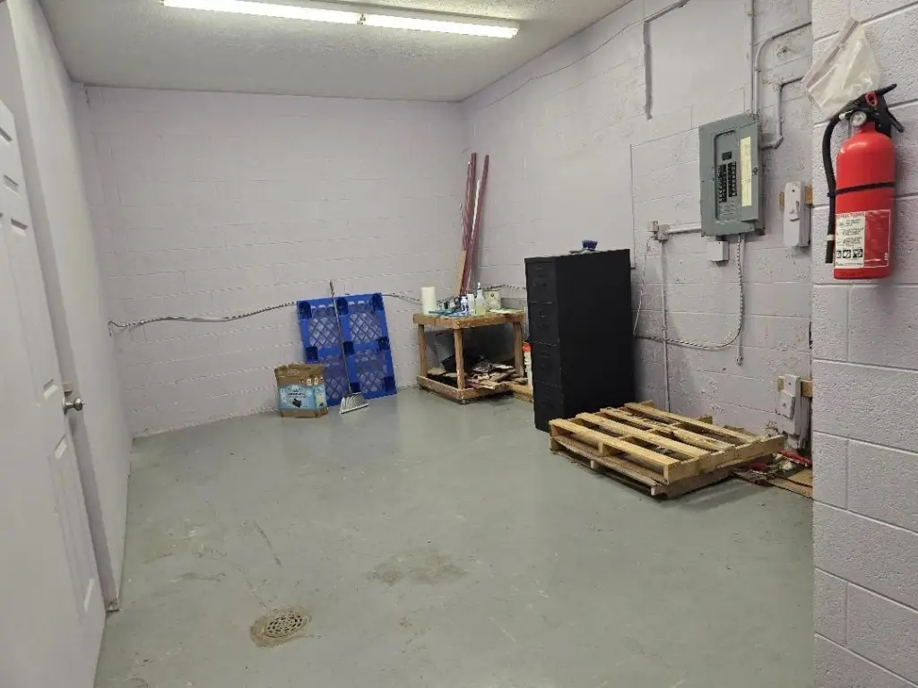 Picture 5