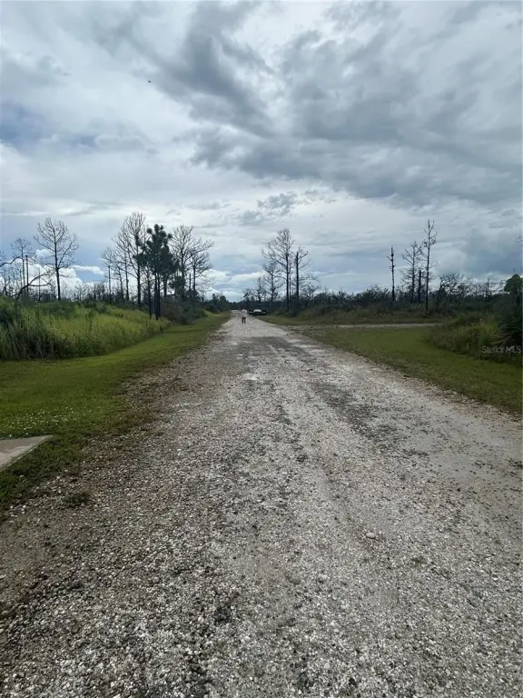 Picture 4