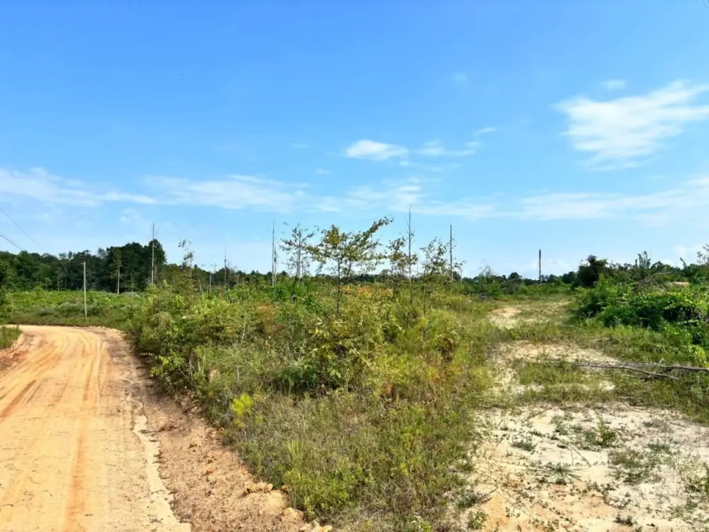 Picture 6