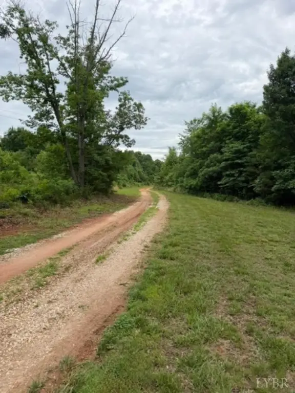 Picture 4