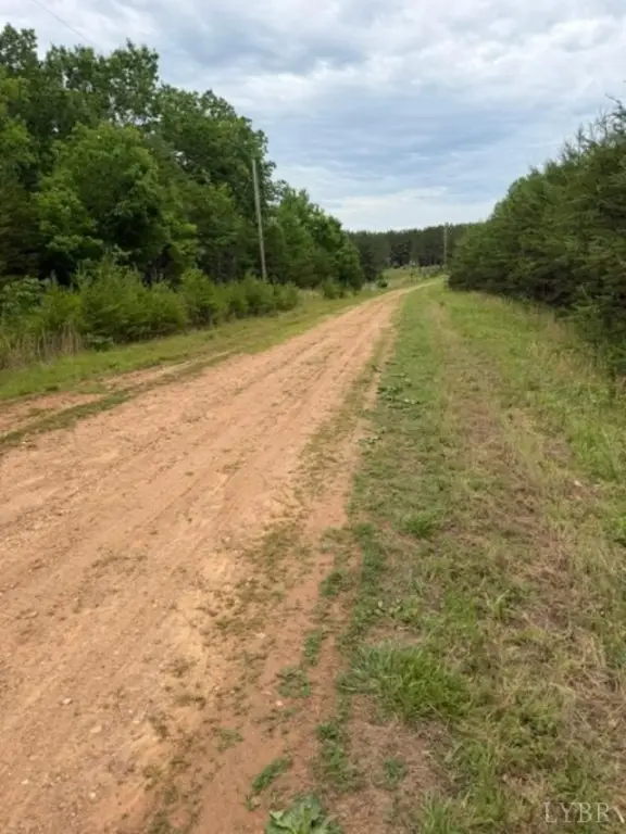 Picture 8