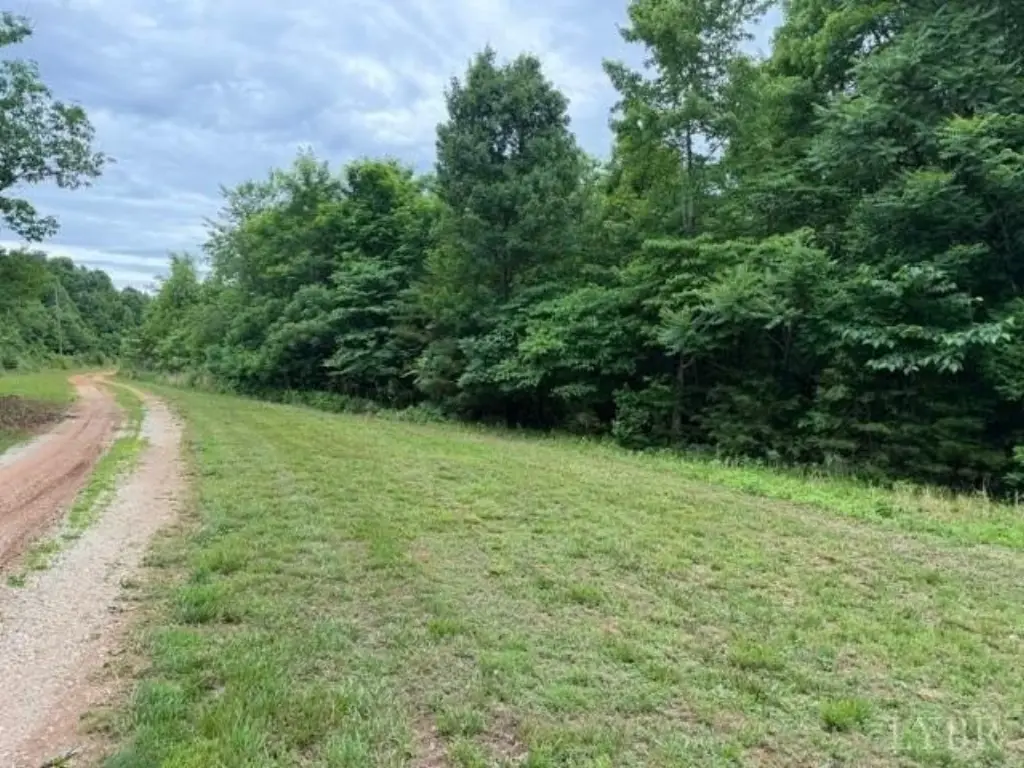 Picture 5