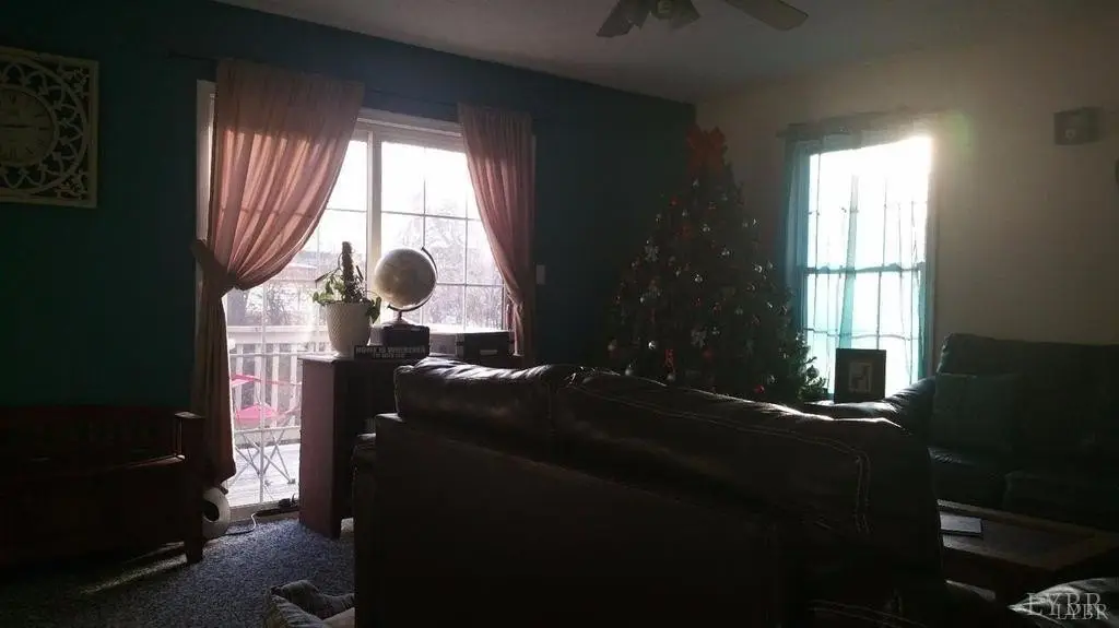 Picture 12
