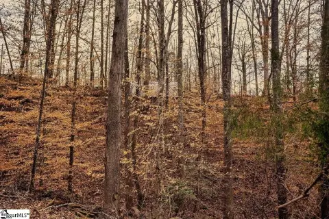 Lake Secession Waterfront Residential Lot