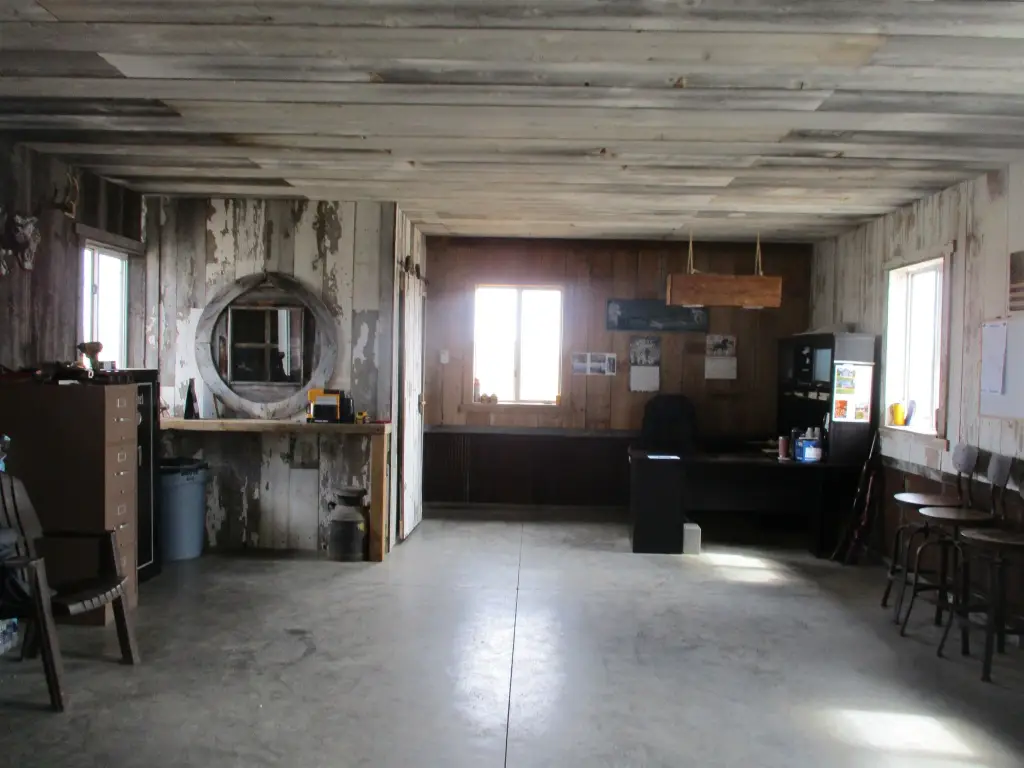 Picture 7