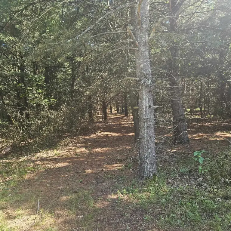 Picture 5