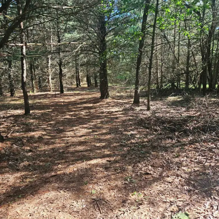 Picture 6