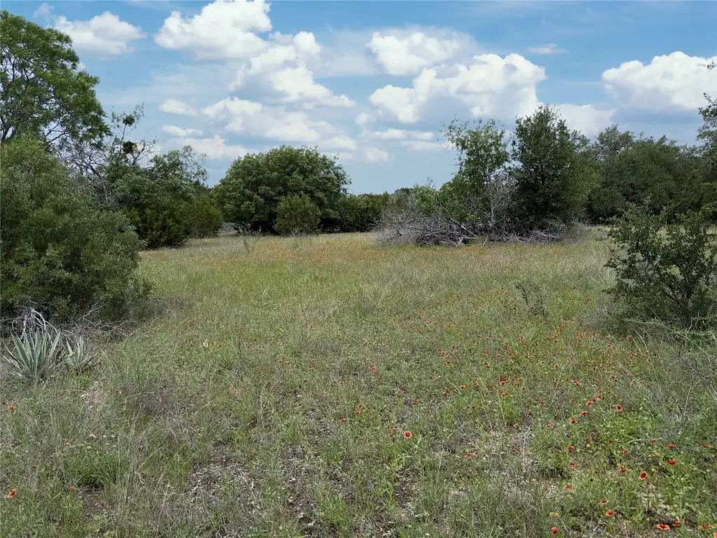 Picture 21