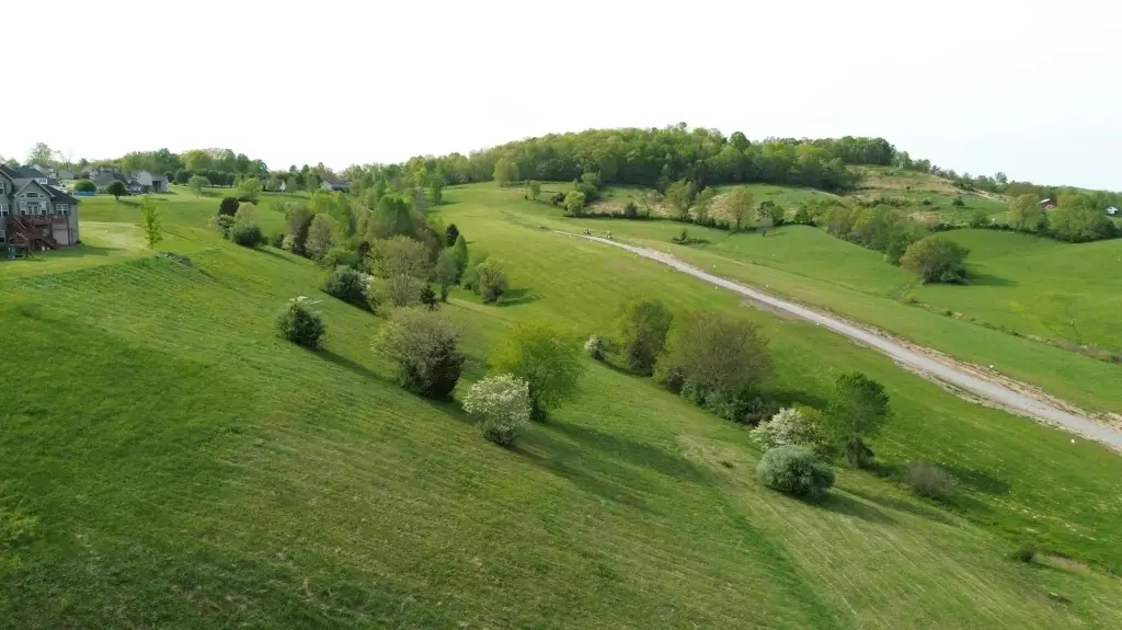 Picture 7