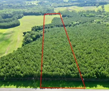 Picture of Land at Us Highway 231 S 8, Brundidge, AL