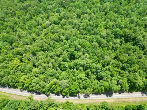 Greenville Land for Homesite/Mini-Farm